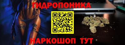крисы Северобайкальск