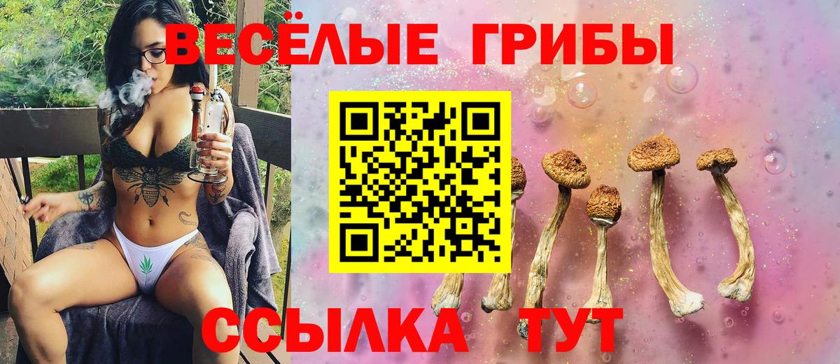 Псилоцибиновые грибы Magic Shrooms Нижнеудинск