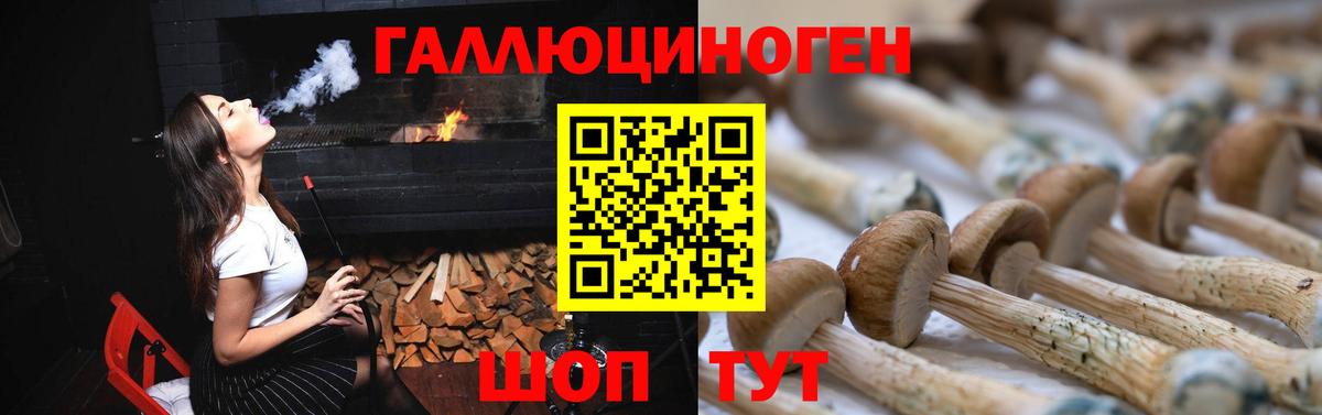 Нижнеудинск  Псилоцибиновые грибы GOLDEN TEACHER  Псилоцибиновые грибы Cubensis  Вход с VPN 